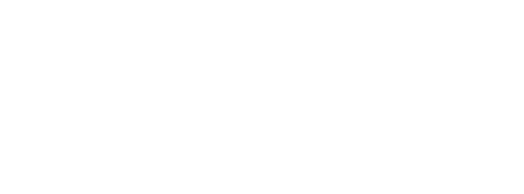 CEMS, academic network partner of a previous RealTimes edition