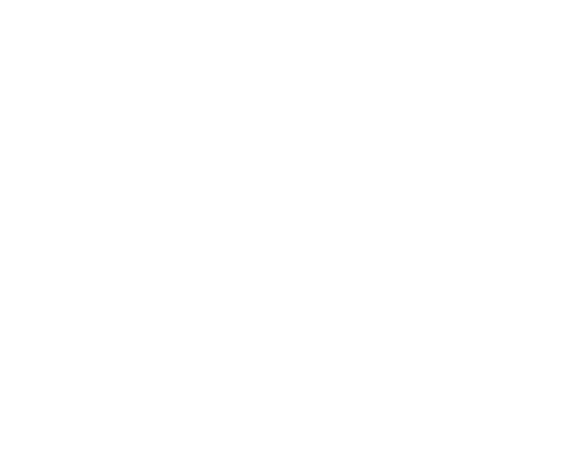 Genesis Property